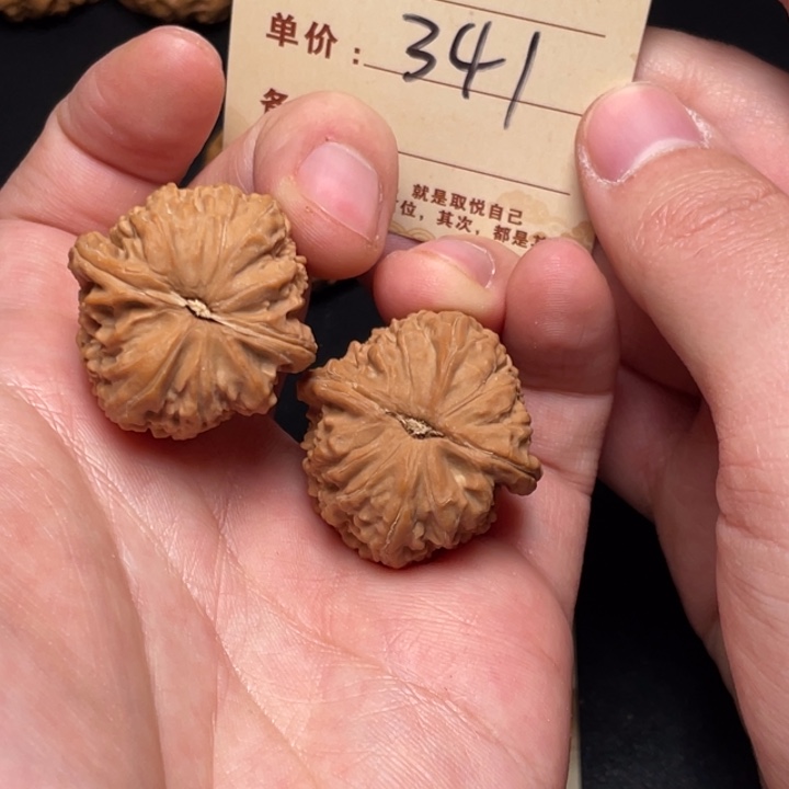 文玩核桃把件白狮子30尺全品白茬341