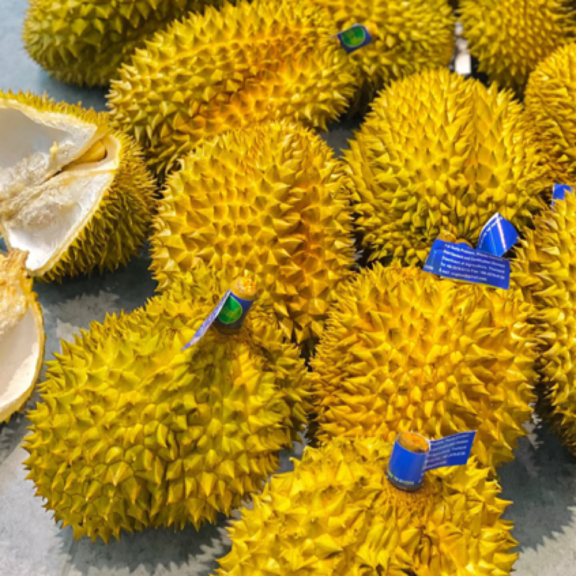 新鲜金枕榴莲一果一重（保百分之30出果率）核小金枕泰国