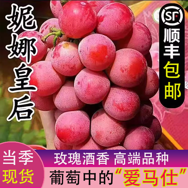 【顺丰包邮】妮娜皇后葡萄当季新鲜水果1-4斤红提子纯甜无酸