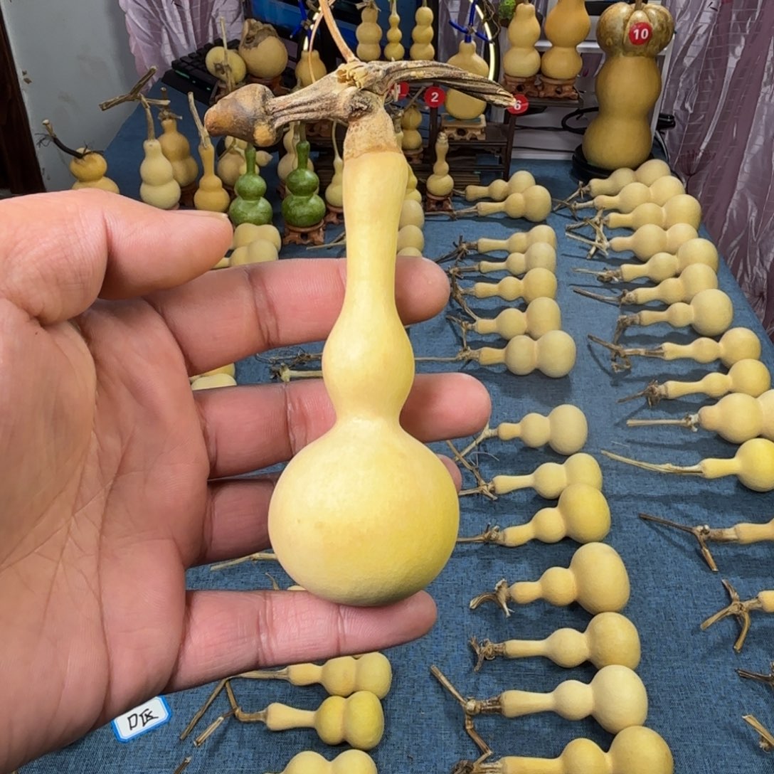 幸****葫芦葫葫芦葫芦葫芦