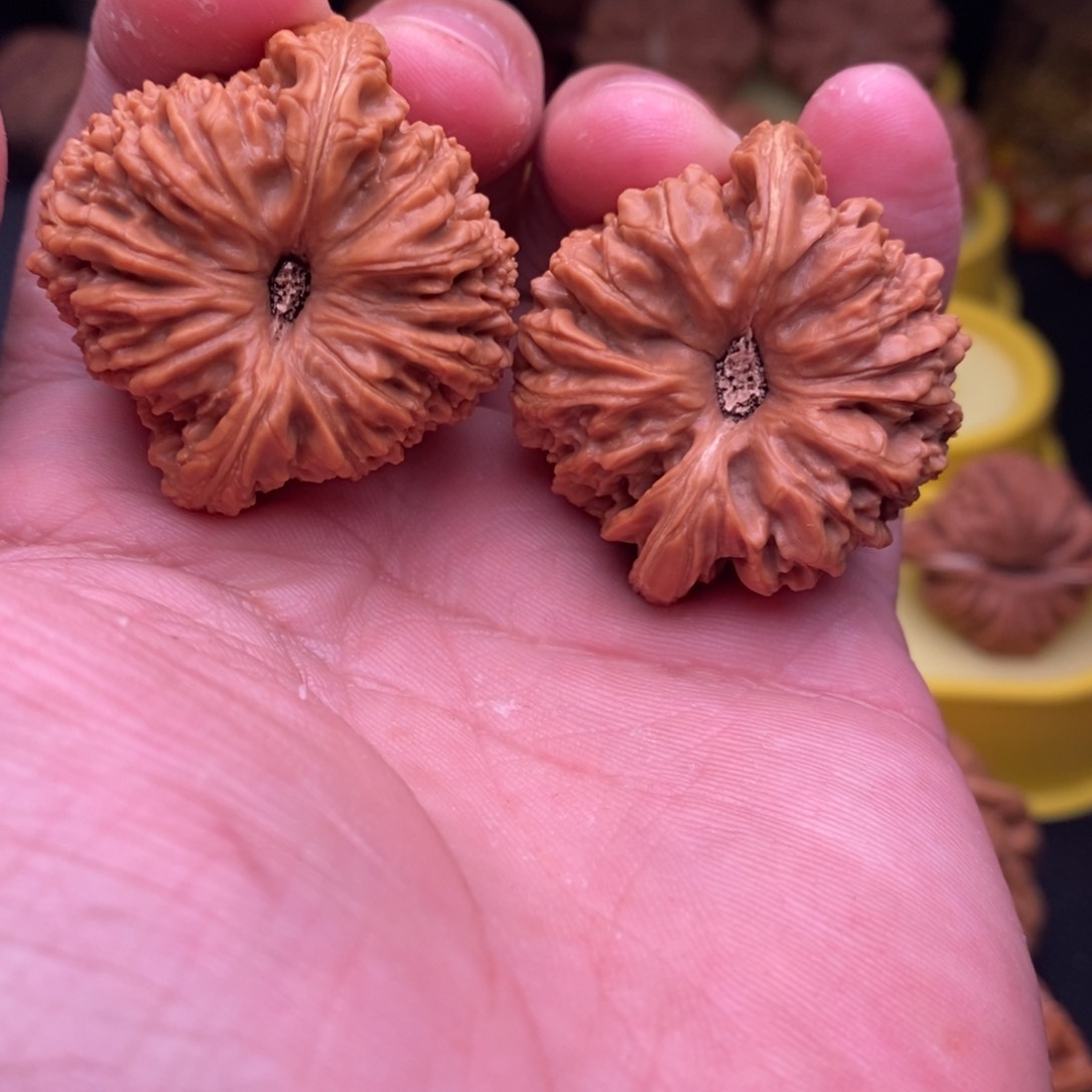 把件文玩核桃40尺窝窝头凹底南疆石