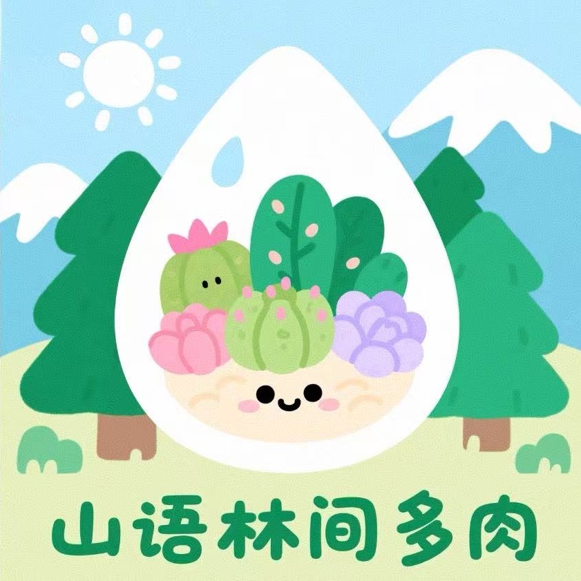 山语林间多肉5号链接
