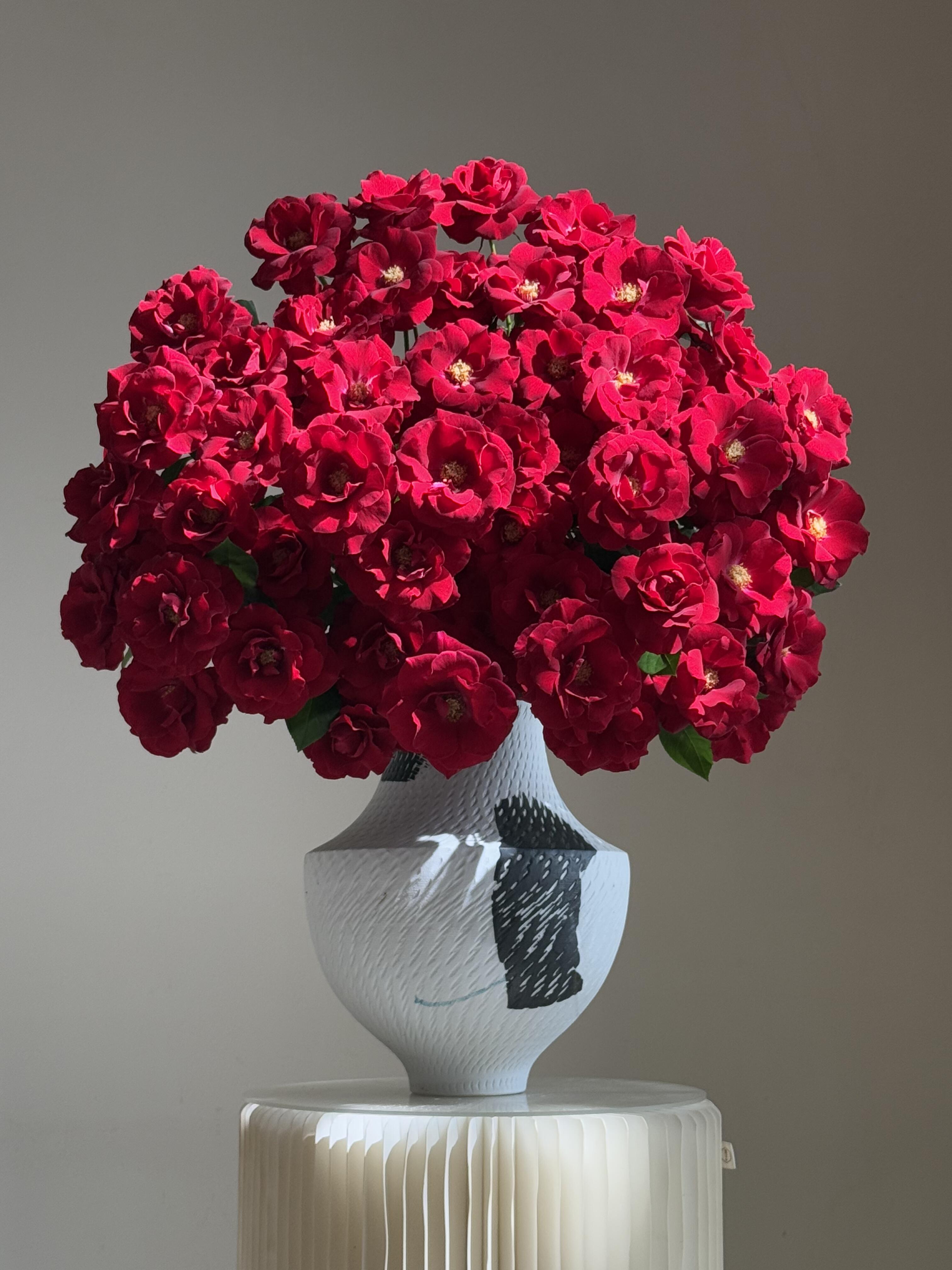 【向云端】红月芭比-多头玫瑰