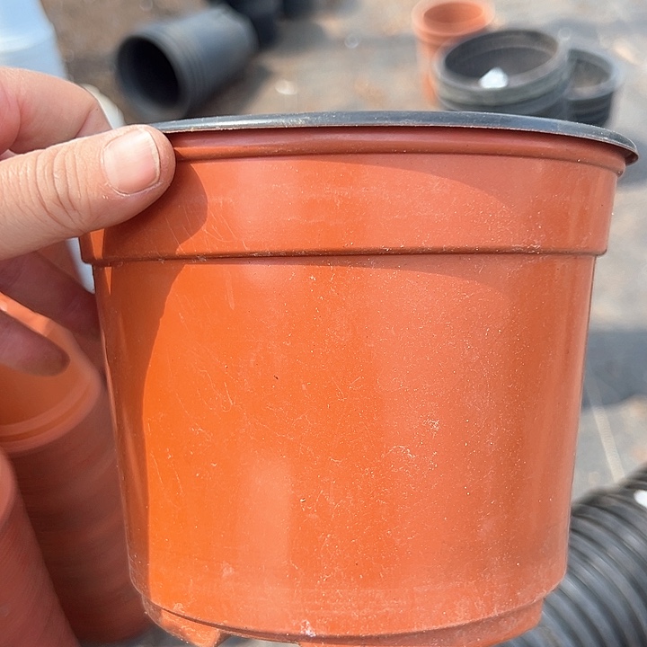 塑料口径16高度13软红色繁殖盆一组20个