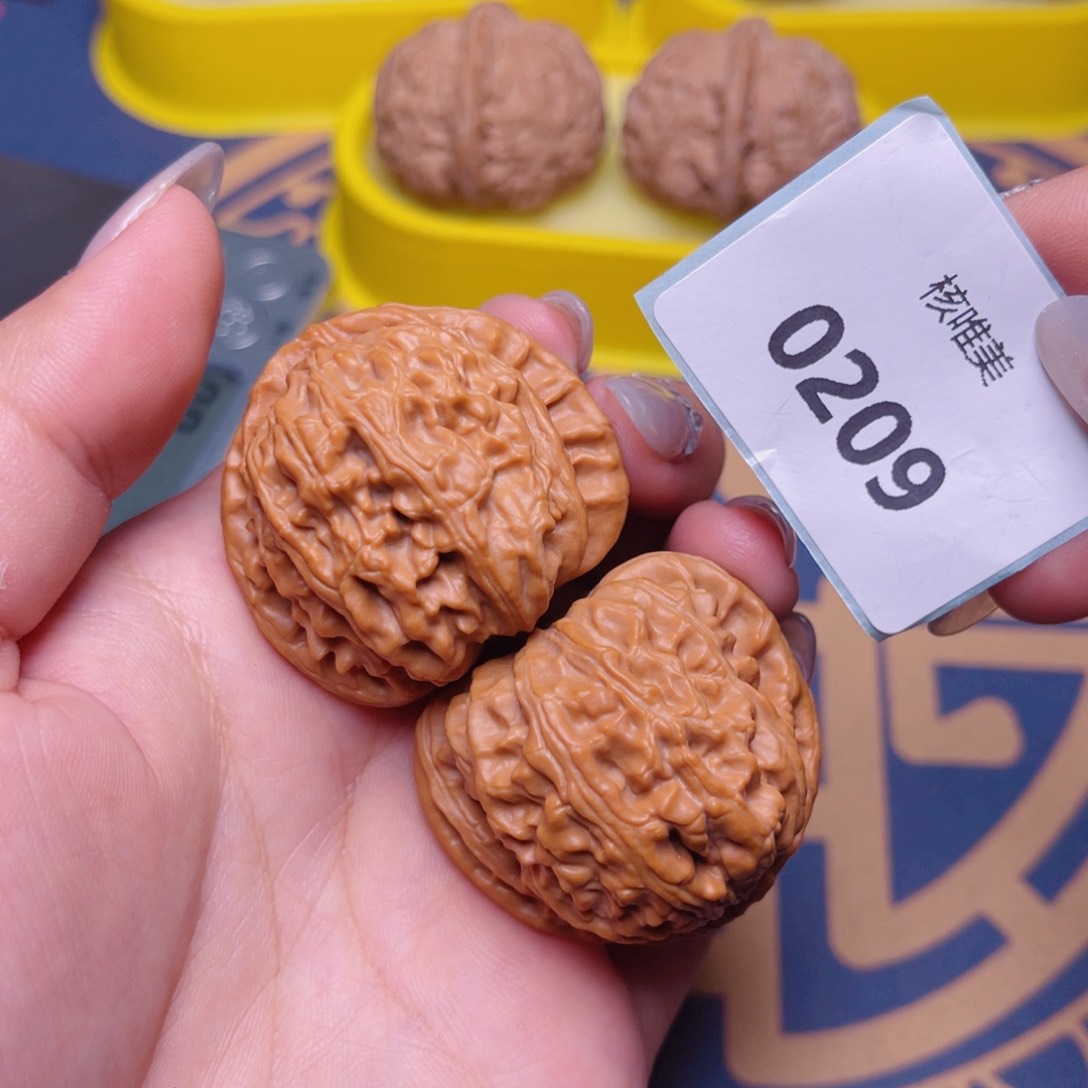 文玩核桃把件白狮子40～0209