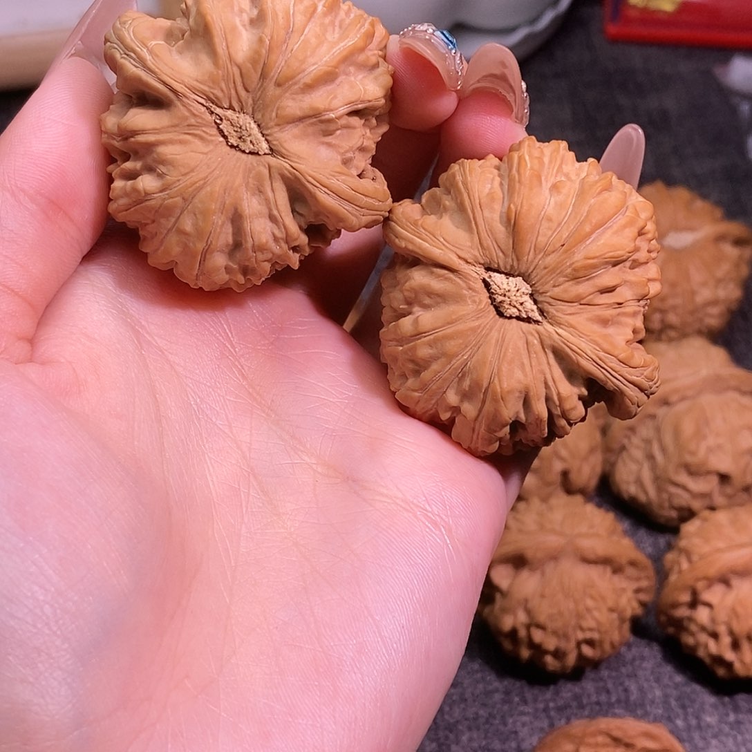 44全品白茶白狮子