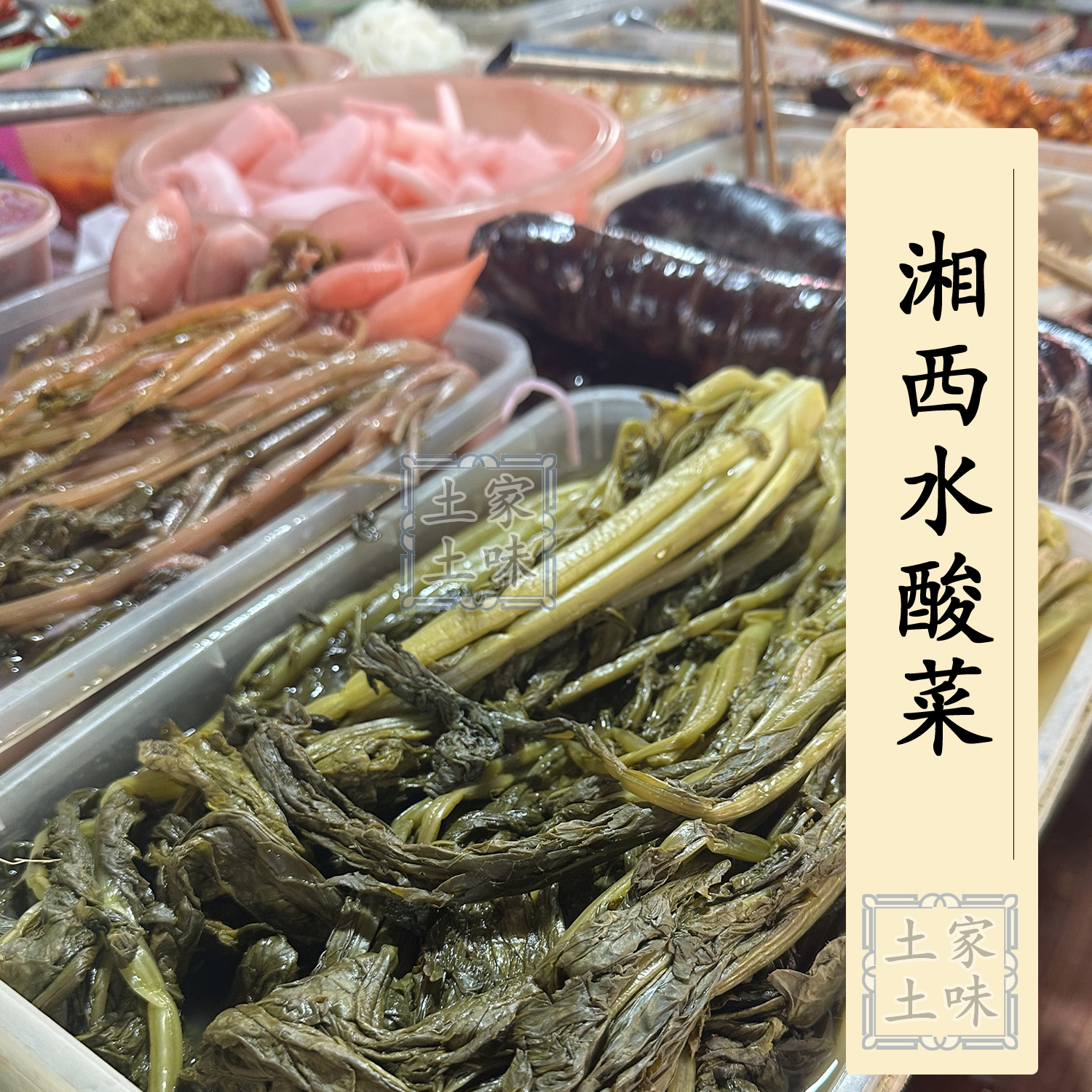 湘西水酸菜 青菜 和干辣椒一起炒超级下饭