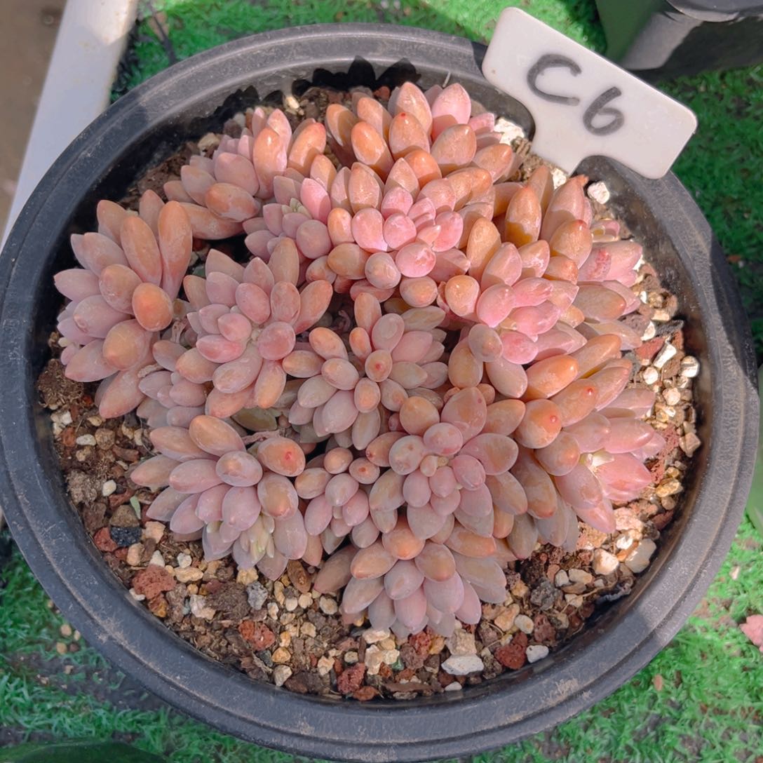 汐****C6fghhjjjjjjjjjk