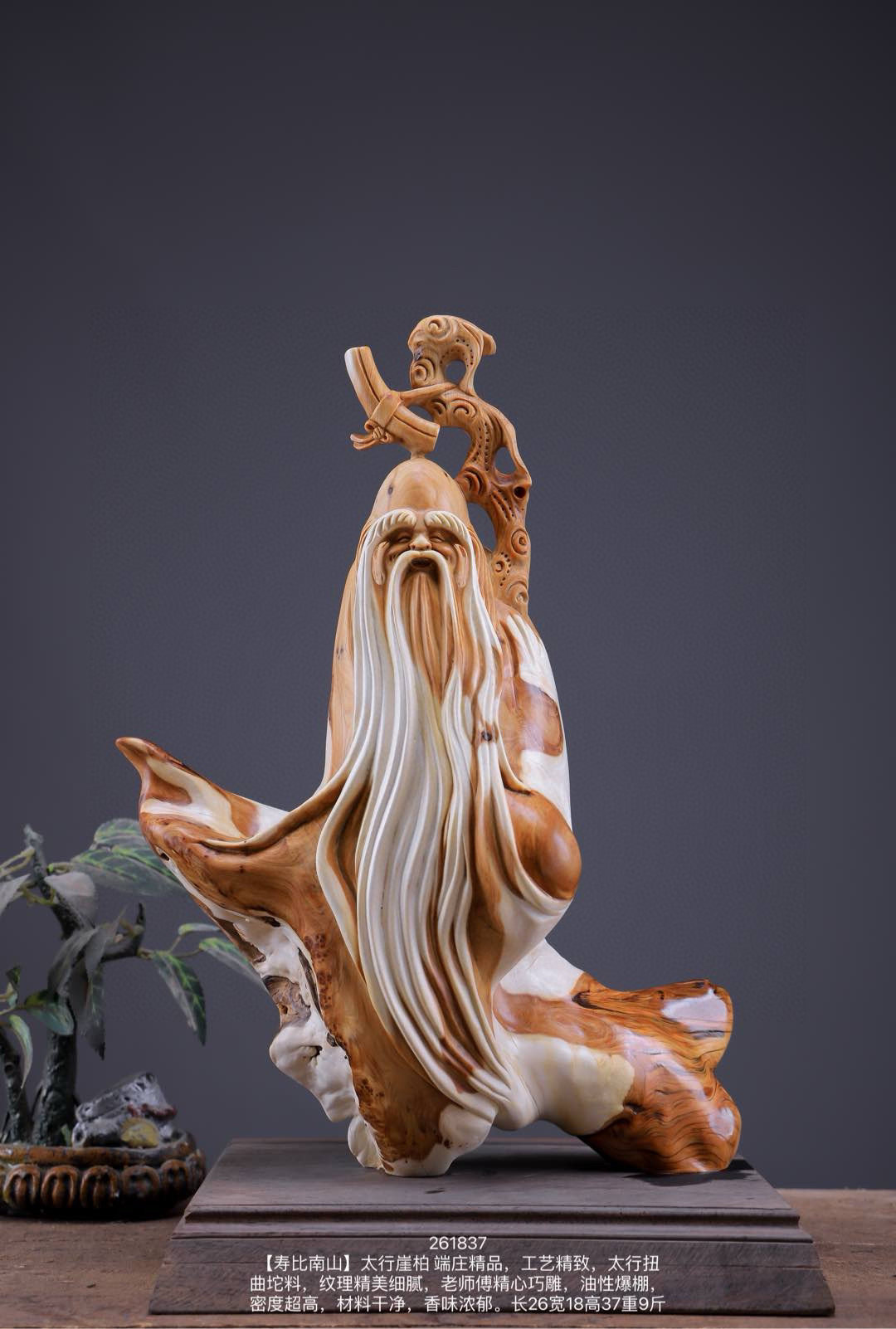 精品太行崖柏寿星根雕摆件工艺品