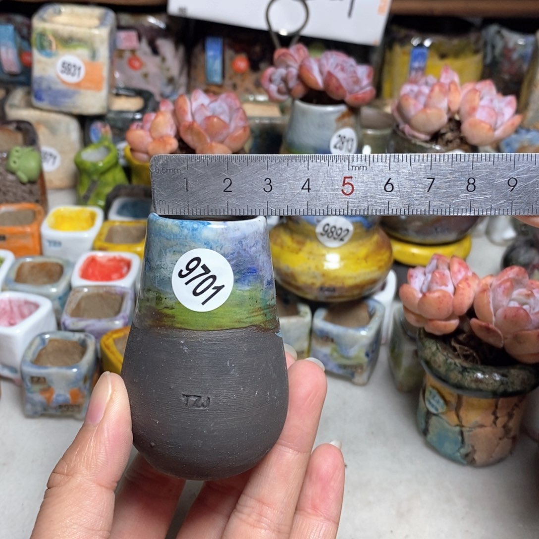 拍5送一个小礼物