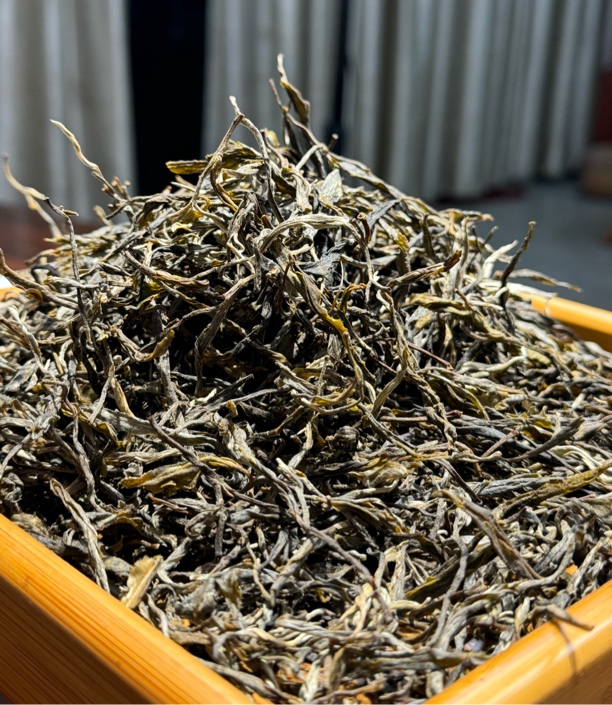 2024帕沙犀牛塘古树茶普洱茶【生茶】150g