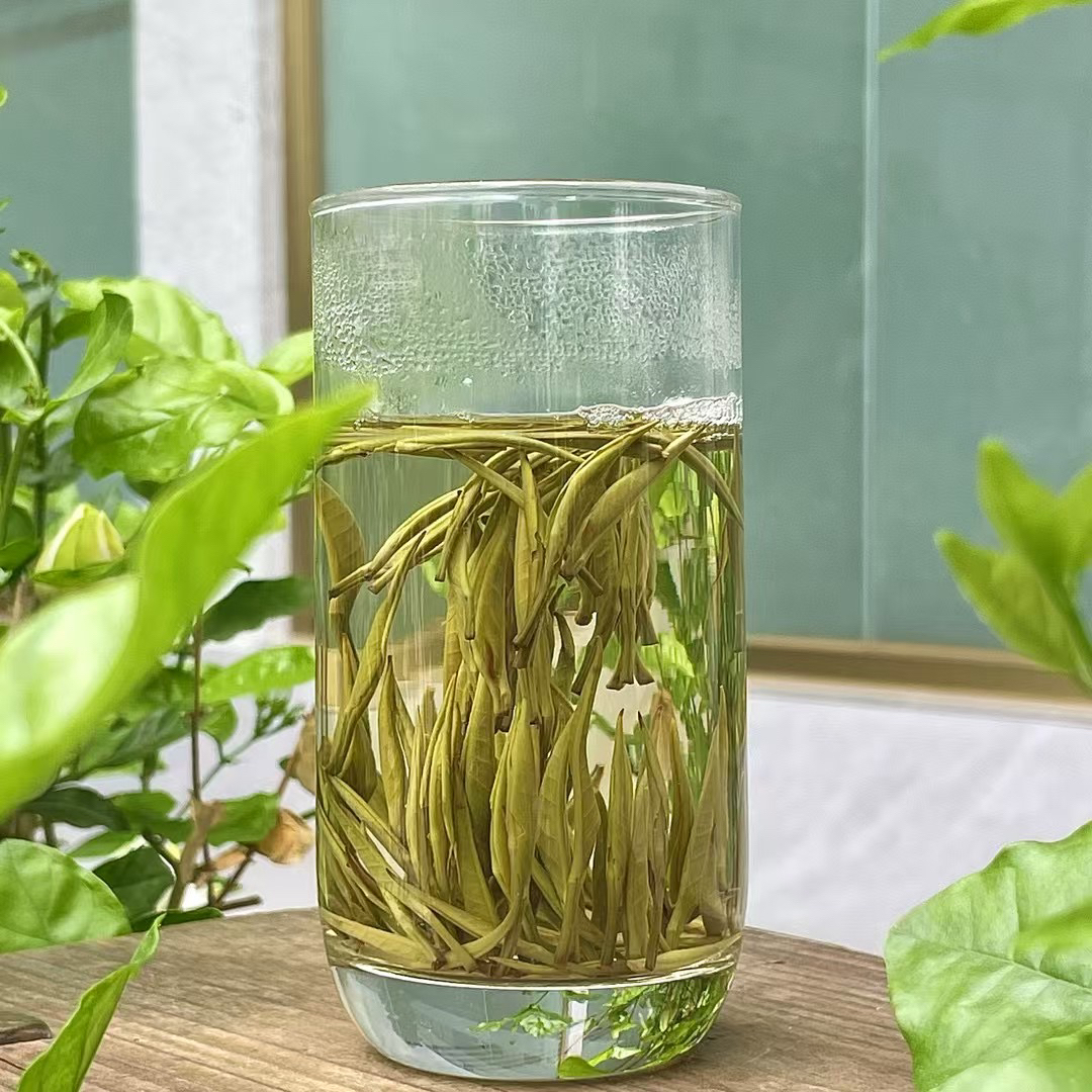 300不带花苿莉花茶