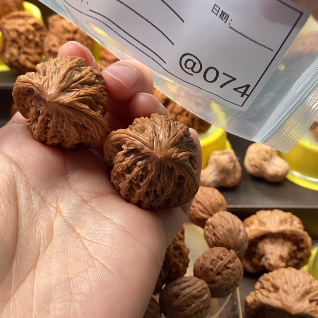 文玩核桃吊坠蛇王