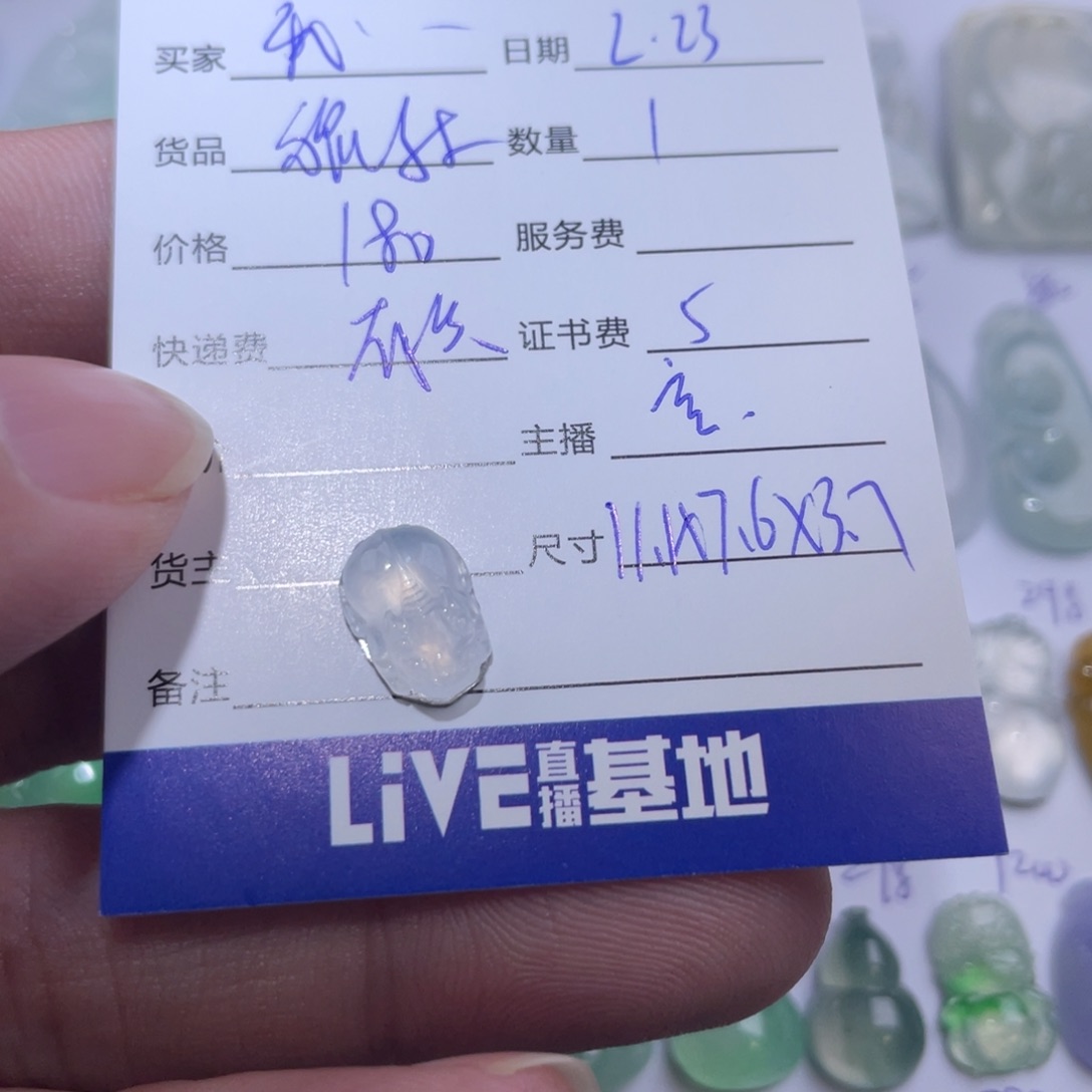 翡翠颈饰未镶嵌我****?翡翠貔貅