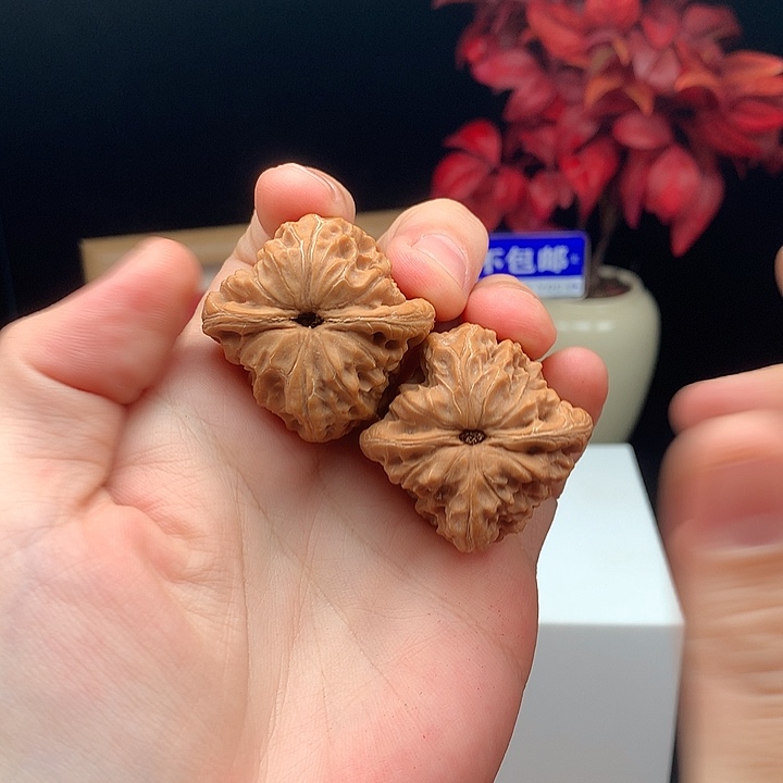 文玩核桃吊坠白蛇骨