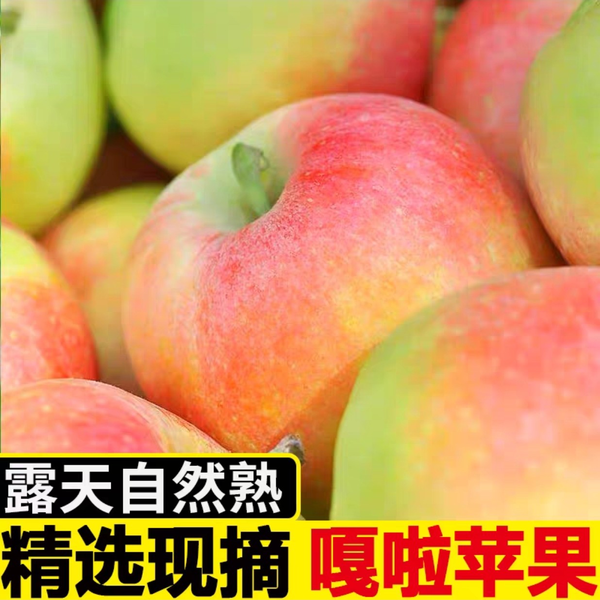 正宗嘎啦苹果当季新鲜果味水果浓郁张艺兴刀马舞