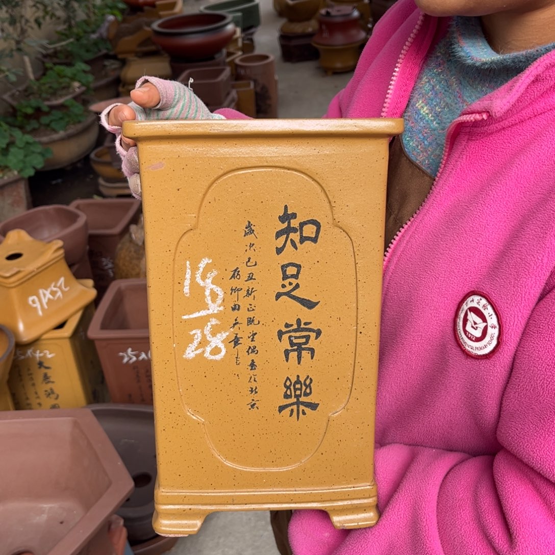 紫砂花盆盆景艺术