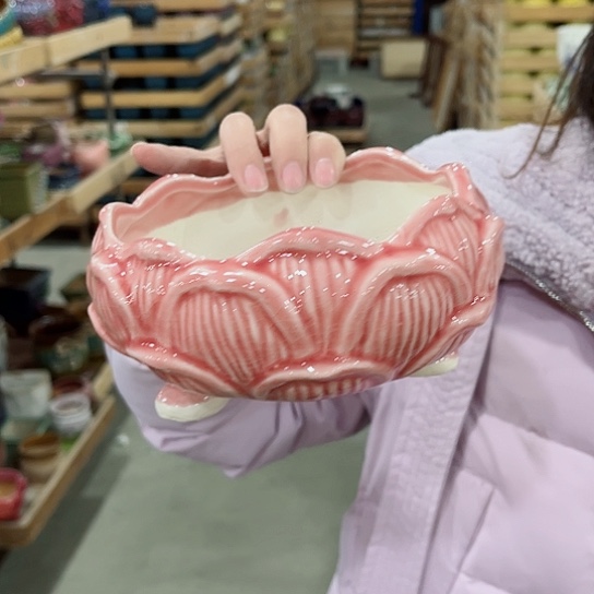 红陶直播间已有一年