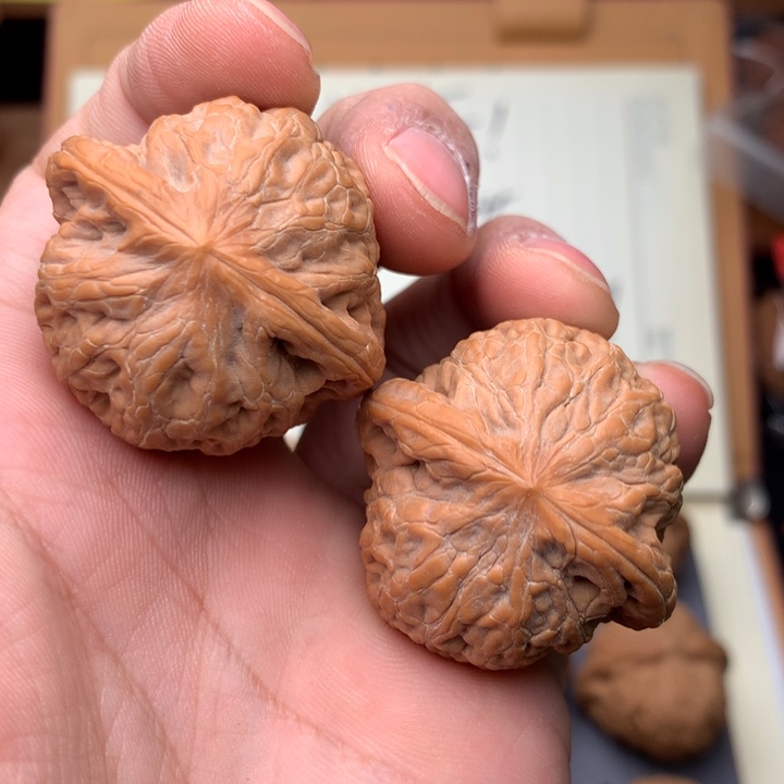 桃核把件?*?37尺寸文玩核桃/铁锤