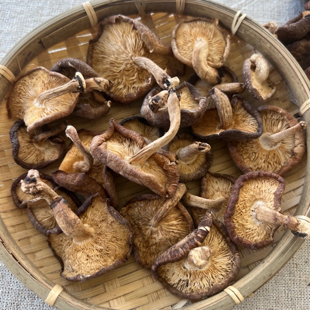 云南怒江高黎贡山精选干香蕈野生香信菇可炖鸡炒肉山货土特产生命