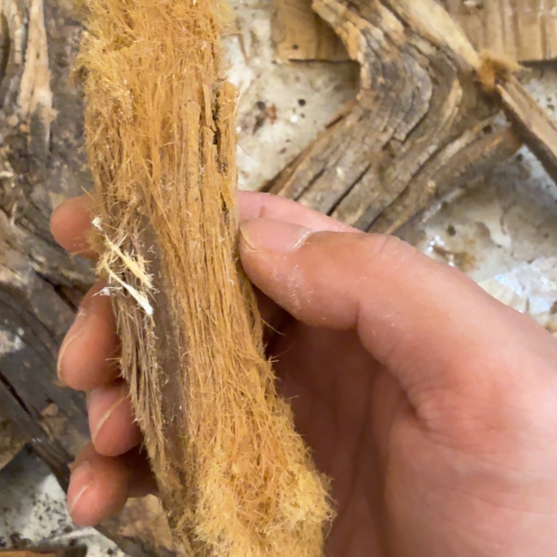 华***侨顶级太行毛毛标本料