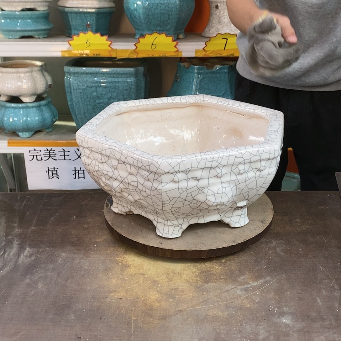 胜****设瑕疵花盆花盆里的花都
