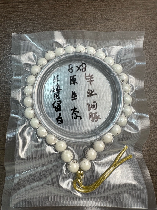 海南原生态星月菩提8×8手持圆珠河豚