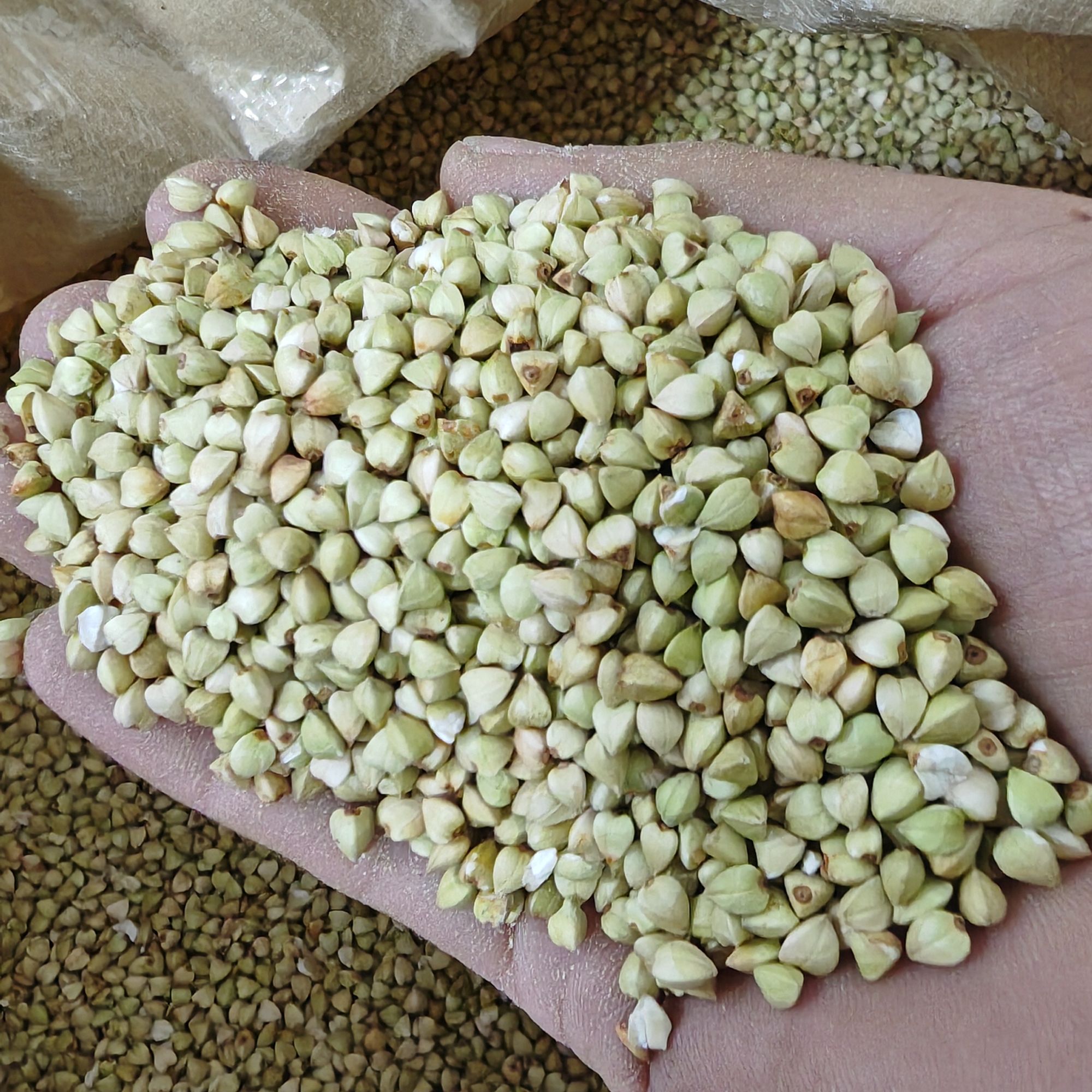 2025新农村农家自种荞麦米