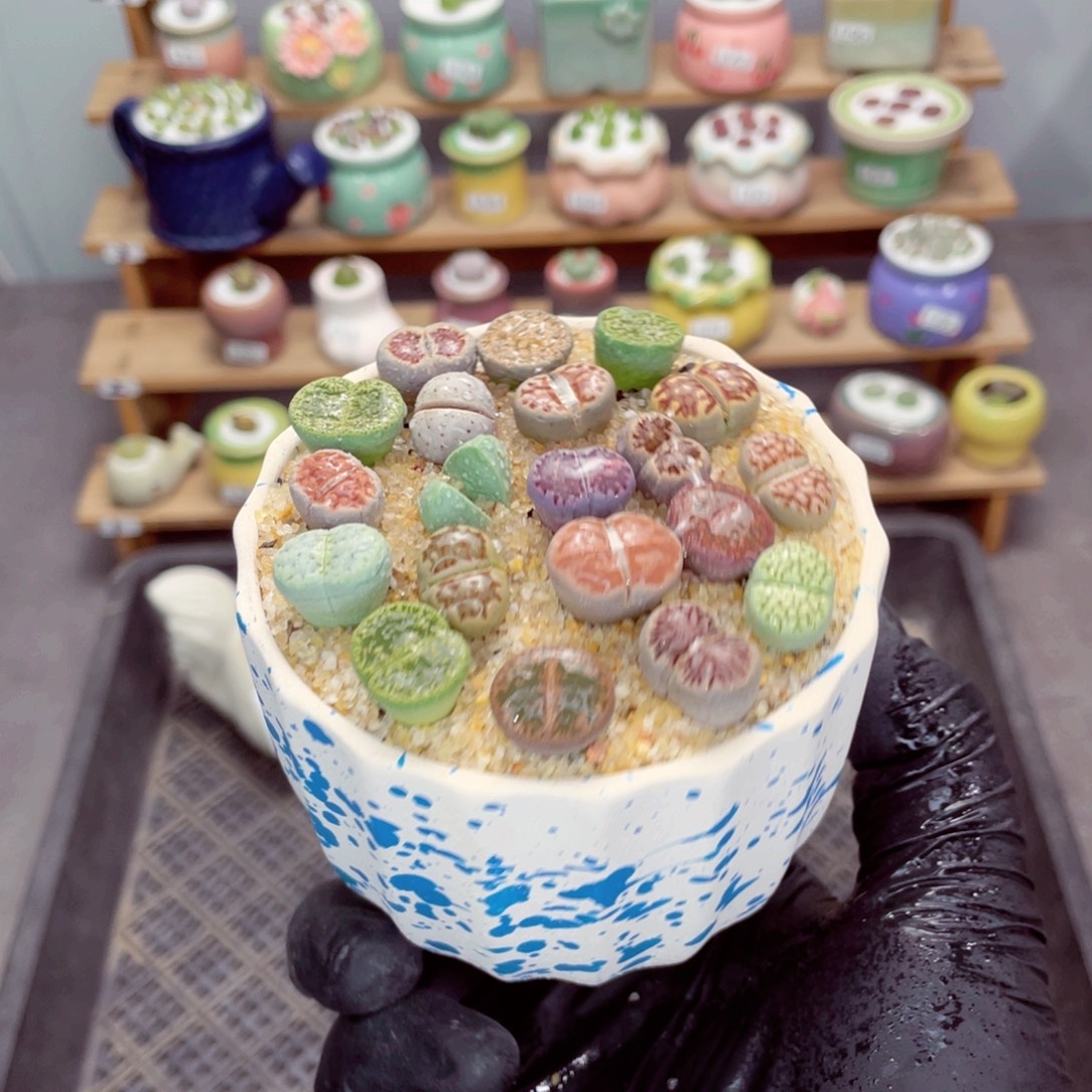 夜间零下地区拍保温箱w5023