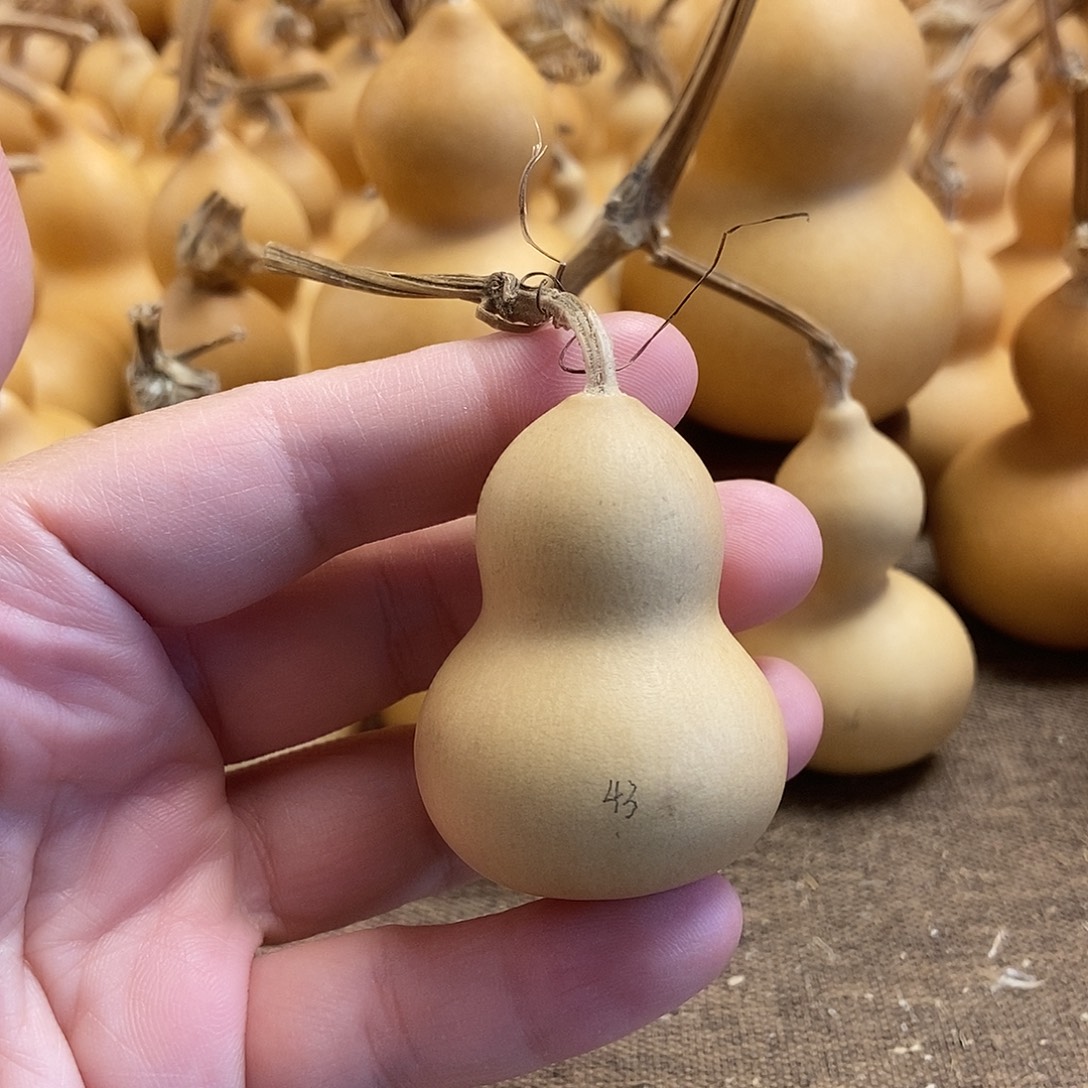 文玩葫芦 完美主义者 慎拍43