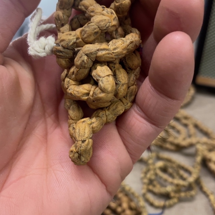 小***宝柏香籽/百香籽吊坠