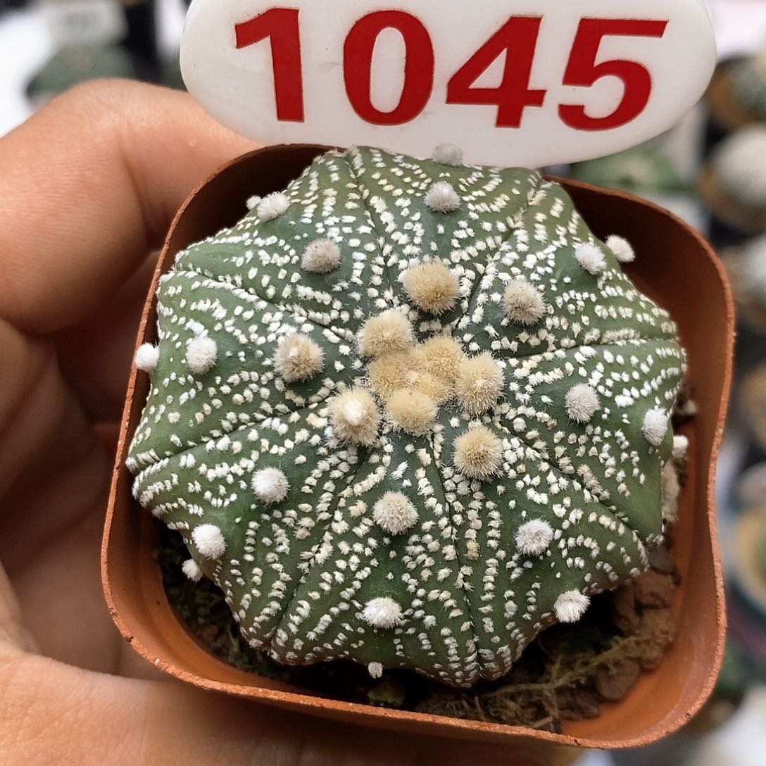 1045福利特价路由我特价