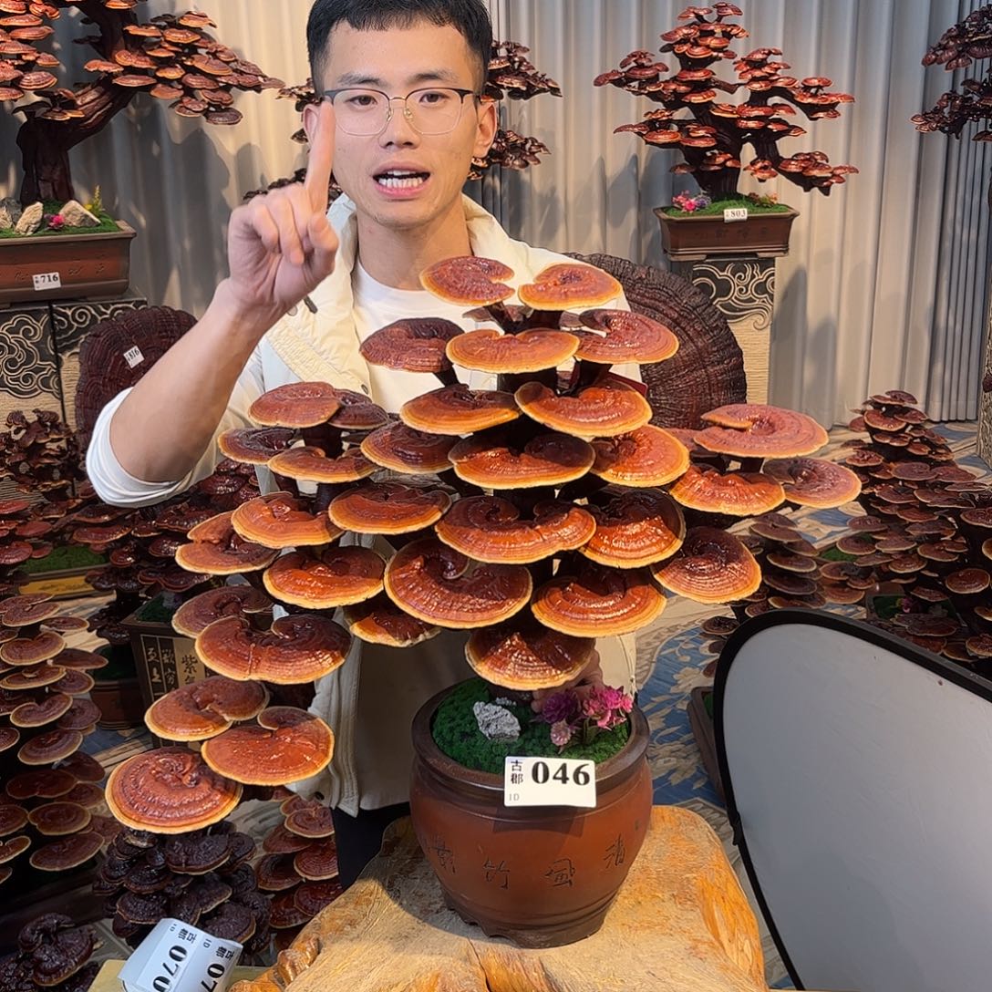 无花朵88888888888889