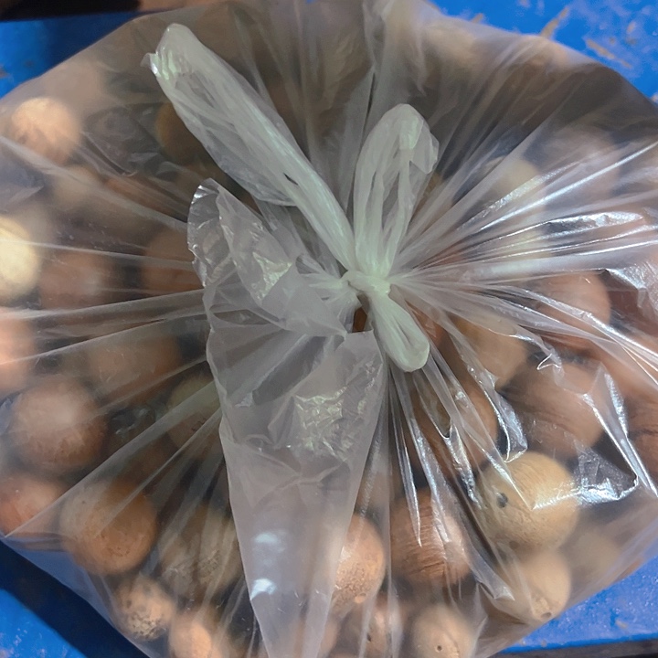 香榧木8888888888888888