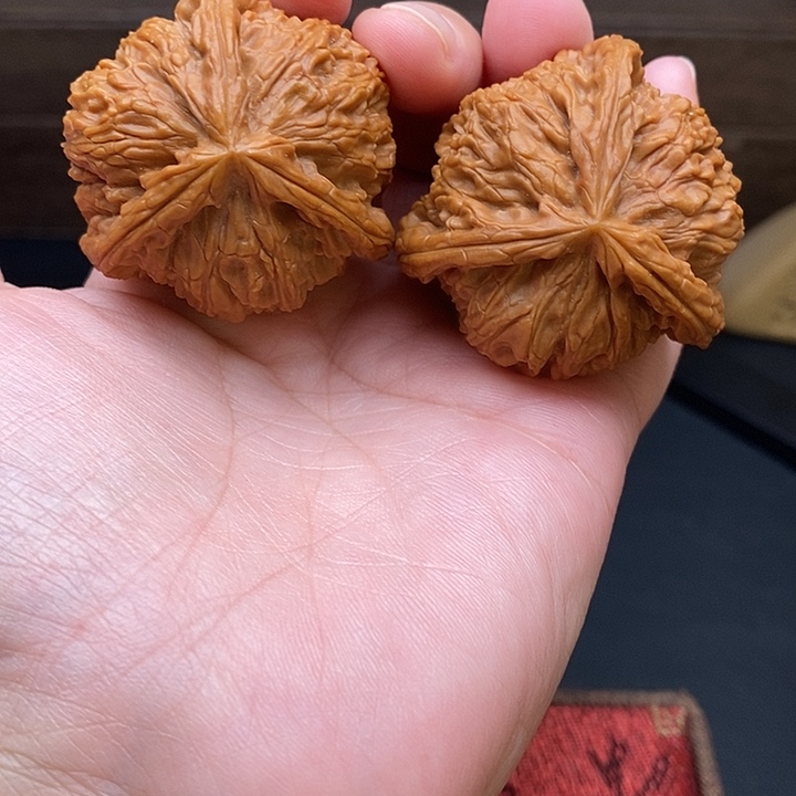 飞***鹤把件文玩核桃白奔