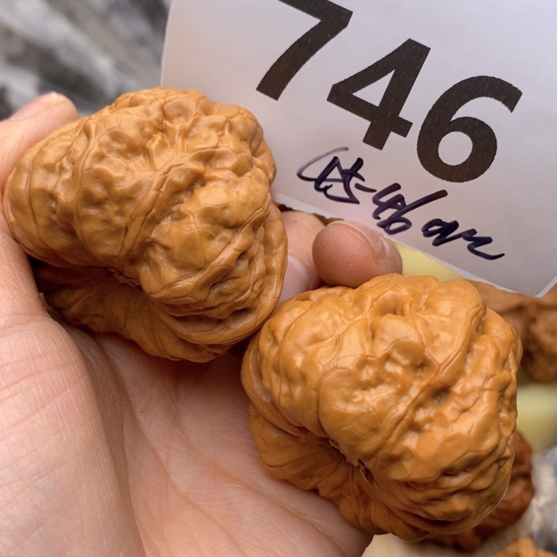 文玩核桃吊坠746号45蛙