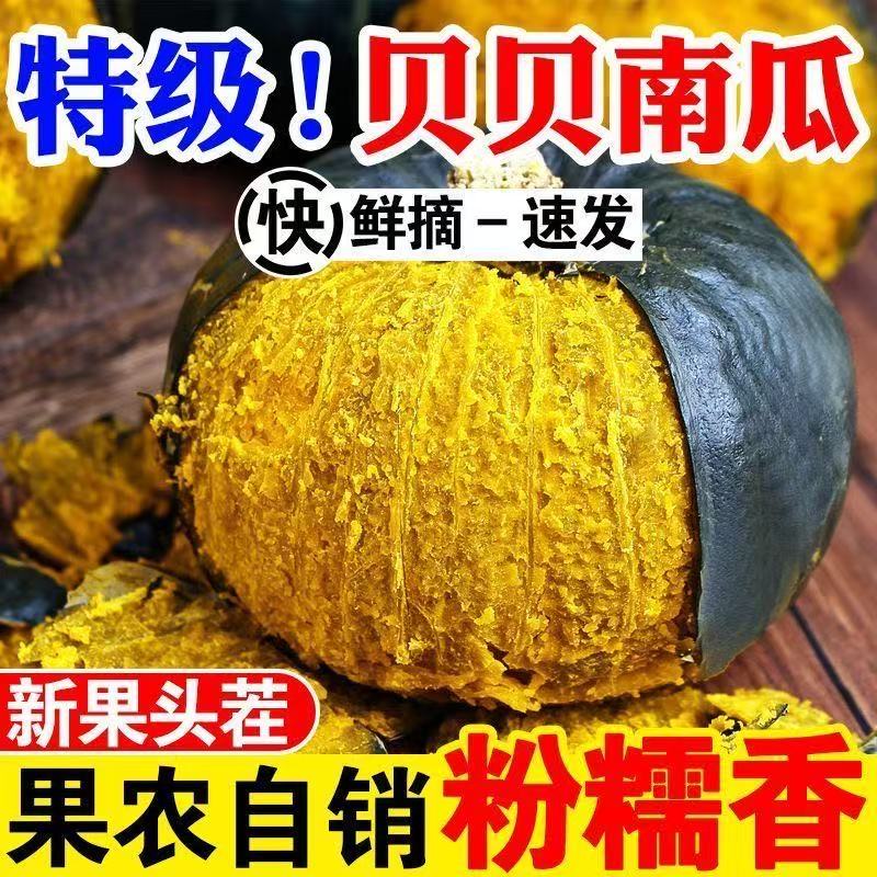 正宗真贝贝南瓜新鲜板栗味小个南瓜婴儿辅食老南瓜粉糯香甜