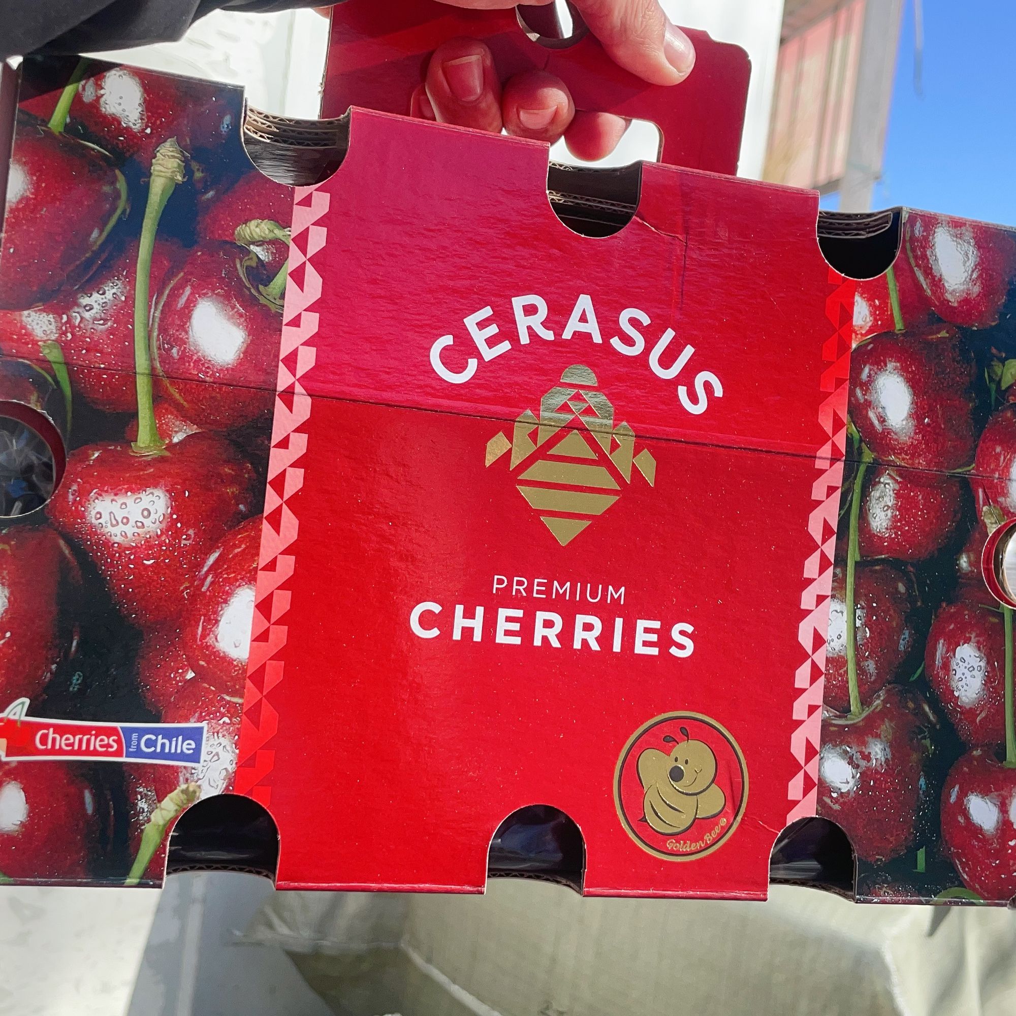 4JD小蜜蜂拉宾斯车厘子一箱5斤