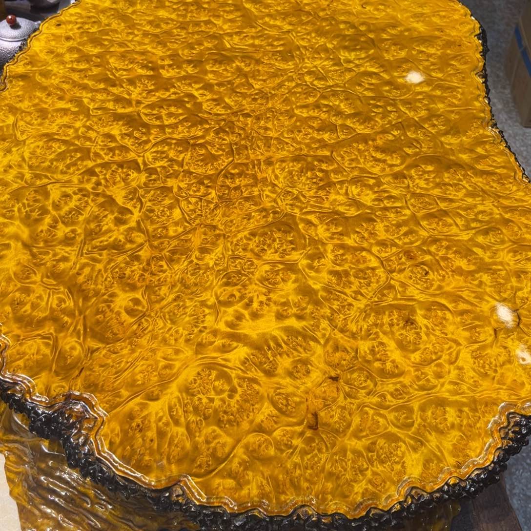 峰*哥黄金樟来咯来咯来咯