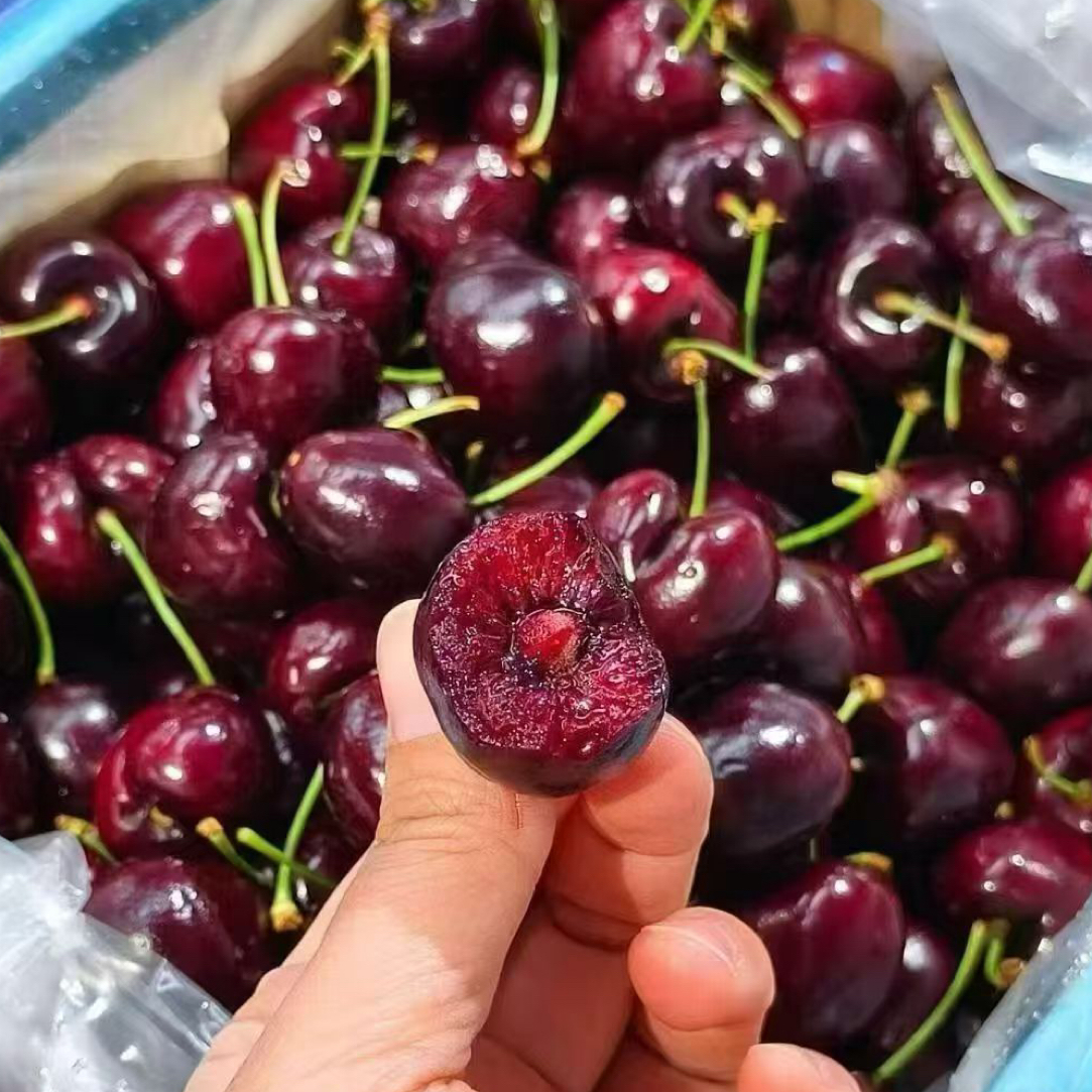 活动小果XL海运车厘子（2斤）桑提娜拉宾斯智利