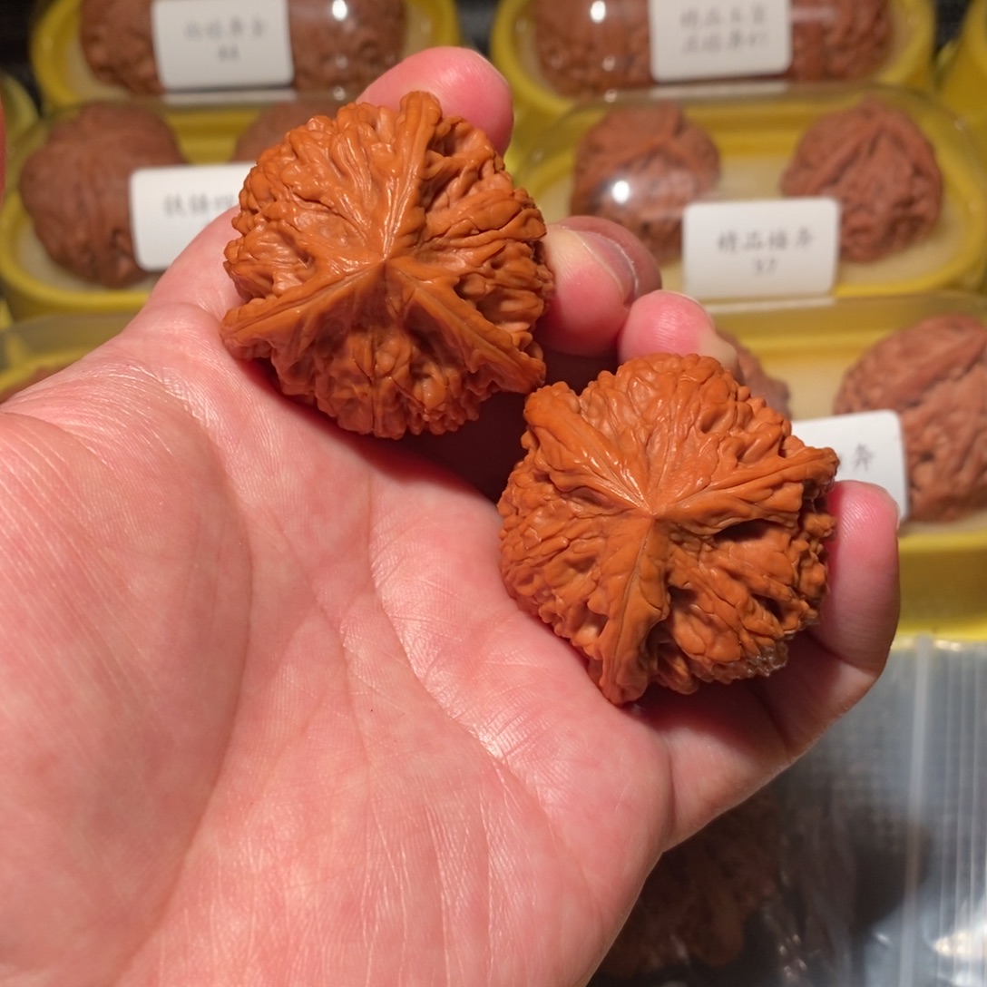 老***猫42全品御龙粗筋正球奔精品对