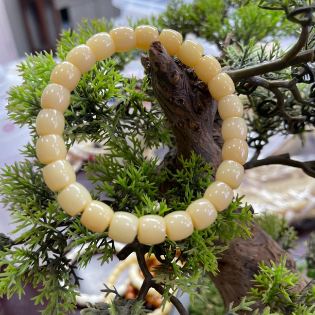 103号 骆驼牙手串高油直切