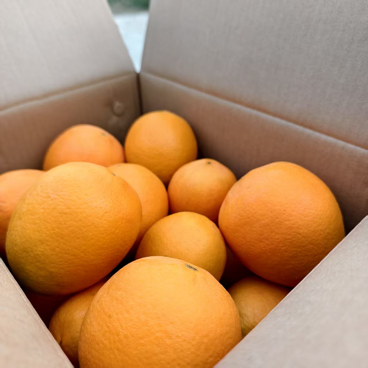 时光果栈 正宗枝江纽荷尔脐橙 新店开播尝新装