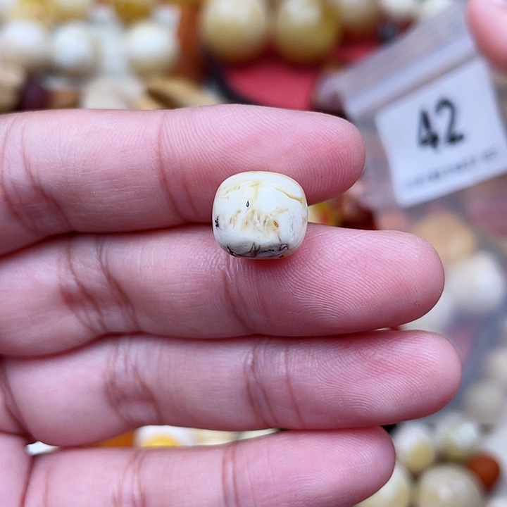 蜜蜡未镶嵌珠宝奇石皮坑12奥利奥