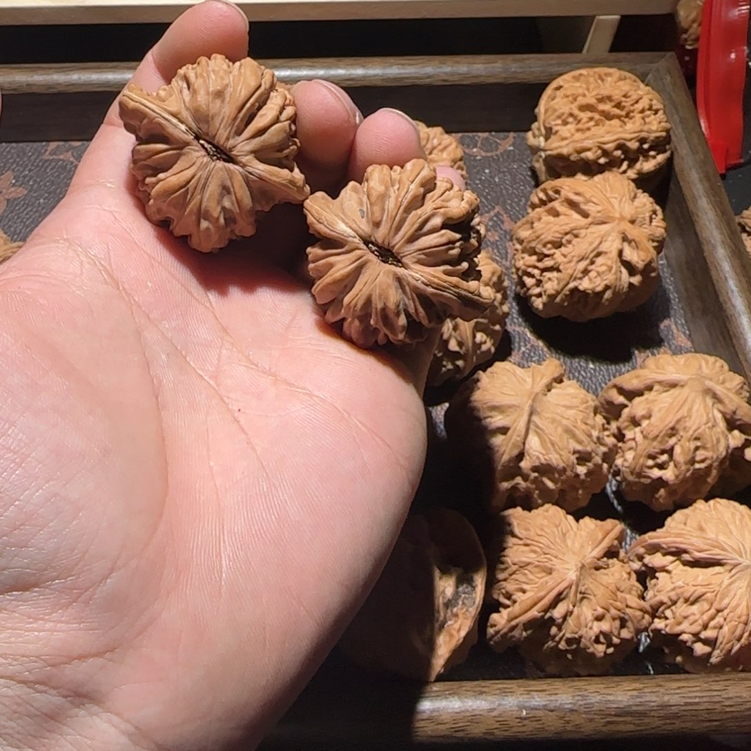 别*我四座楼全品无修一刀未动