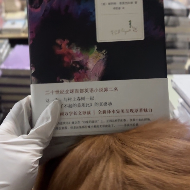 了不起的盖茨比 闪购8