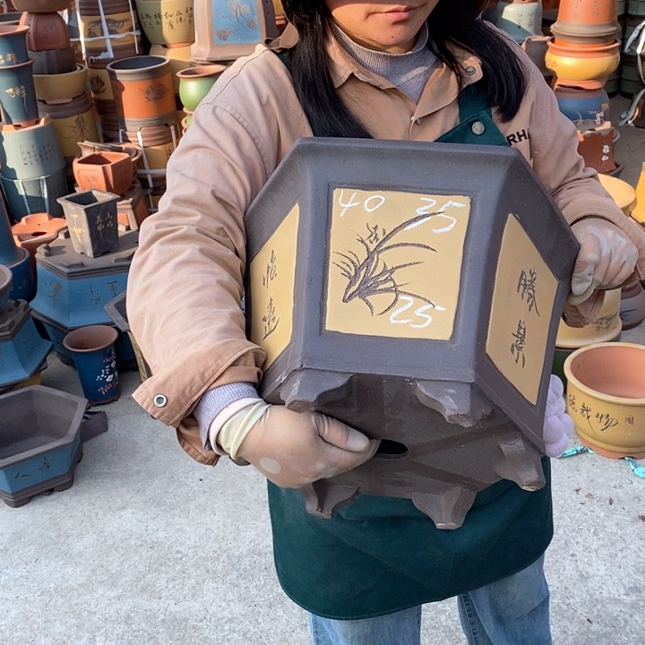 紫砂花盆盆栽花卉苗木种植