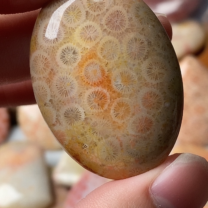 圆***V硅化玉未镶嵌颈饰