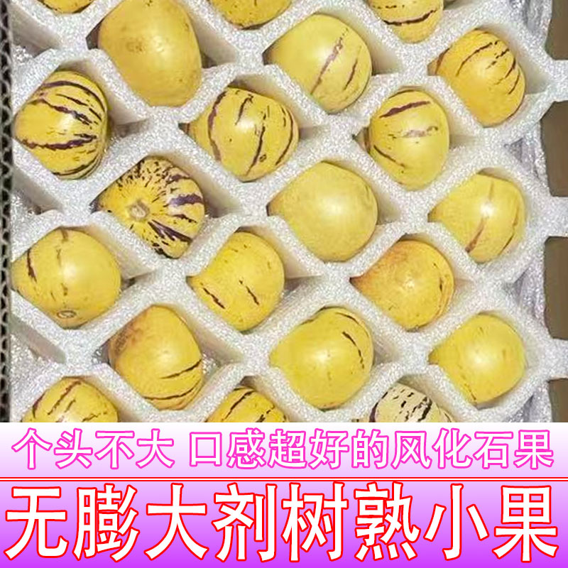 【无膨大剂树上熟口感好全黄小果】云南石林黄果肉圆果产地自种