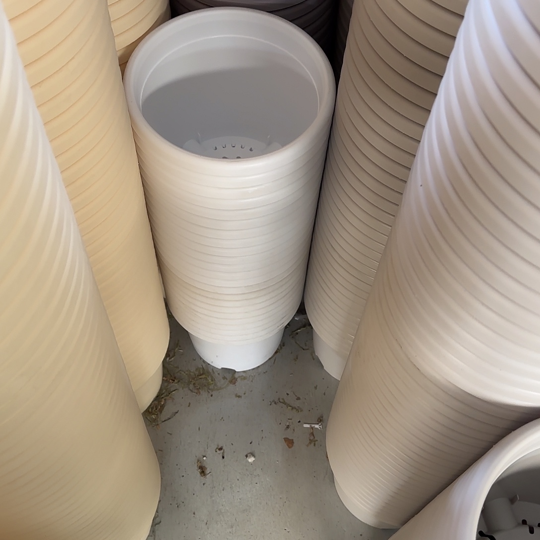 微瑕4号5个无托，白色